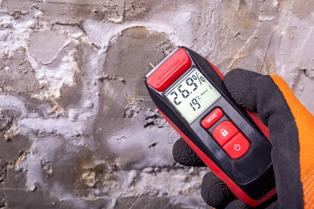 Best Attic Mold Removal  in Gatlinburg, TN